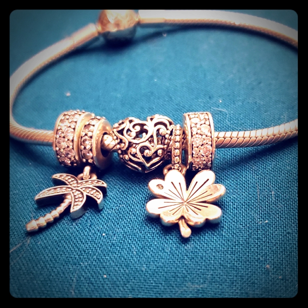 Pandora charm bracelet
